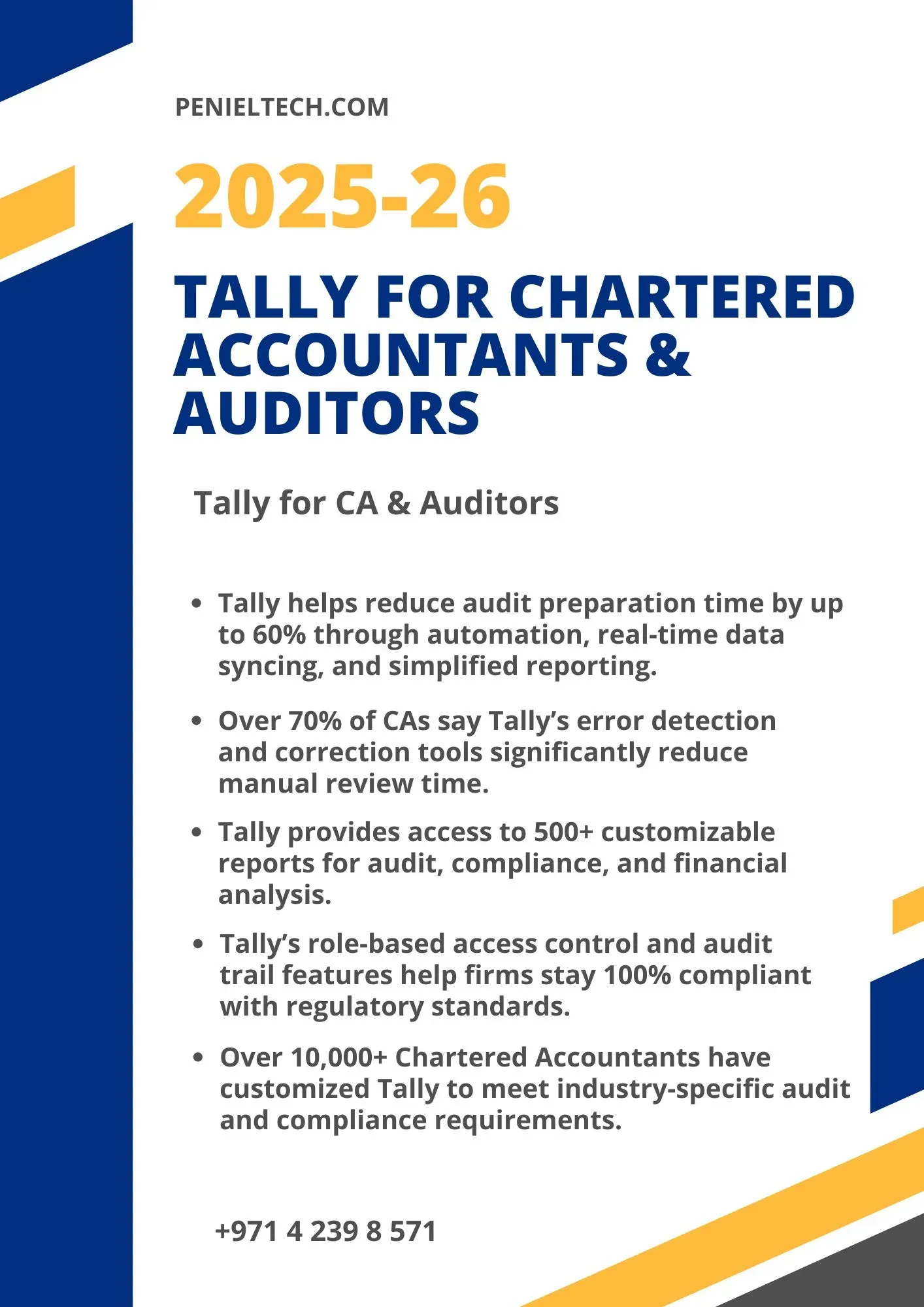 Tally Solutions for Auditors and Chartered Accountants - Penieltech